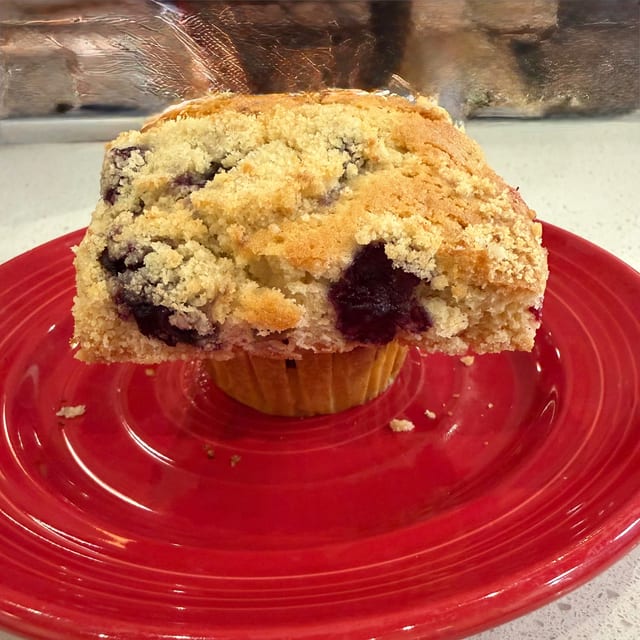 Fresh Baked Muffin.